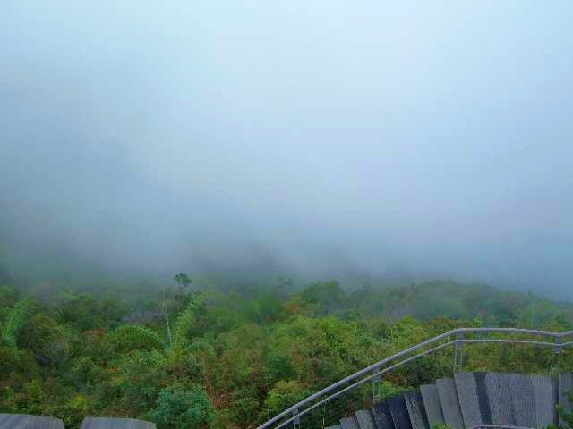 Kabelbaan langkawi uitzicht op Jungle.